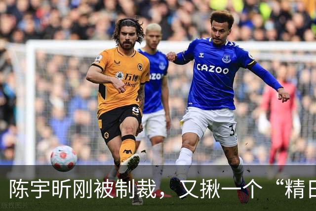陈宇昕刚被制裁，又揪一个“精日”人员：竟然还是本土企业老板